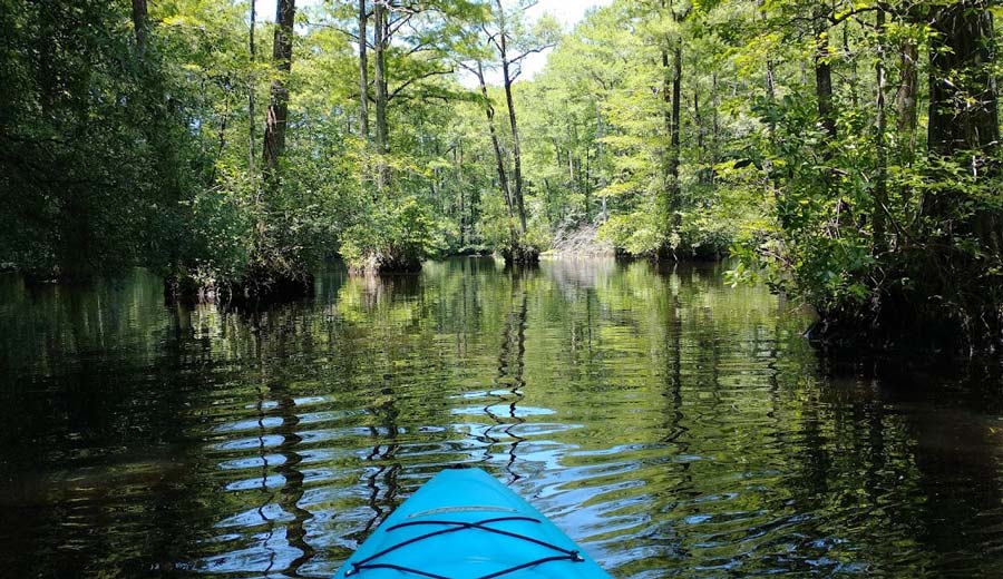 Kayaking on water in Wendell, North Carolina